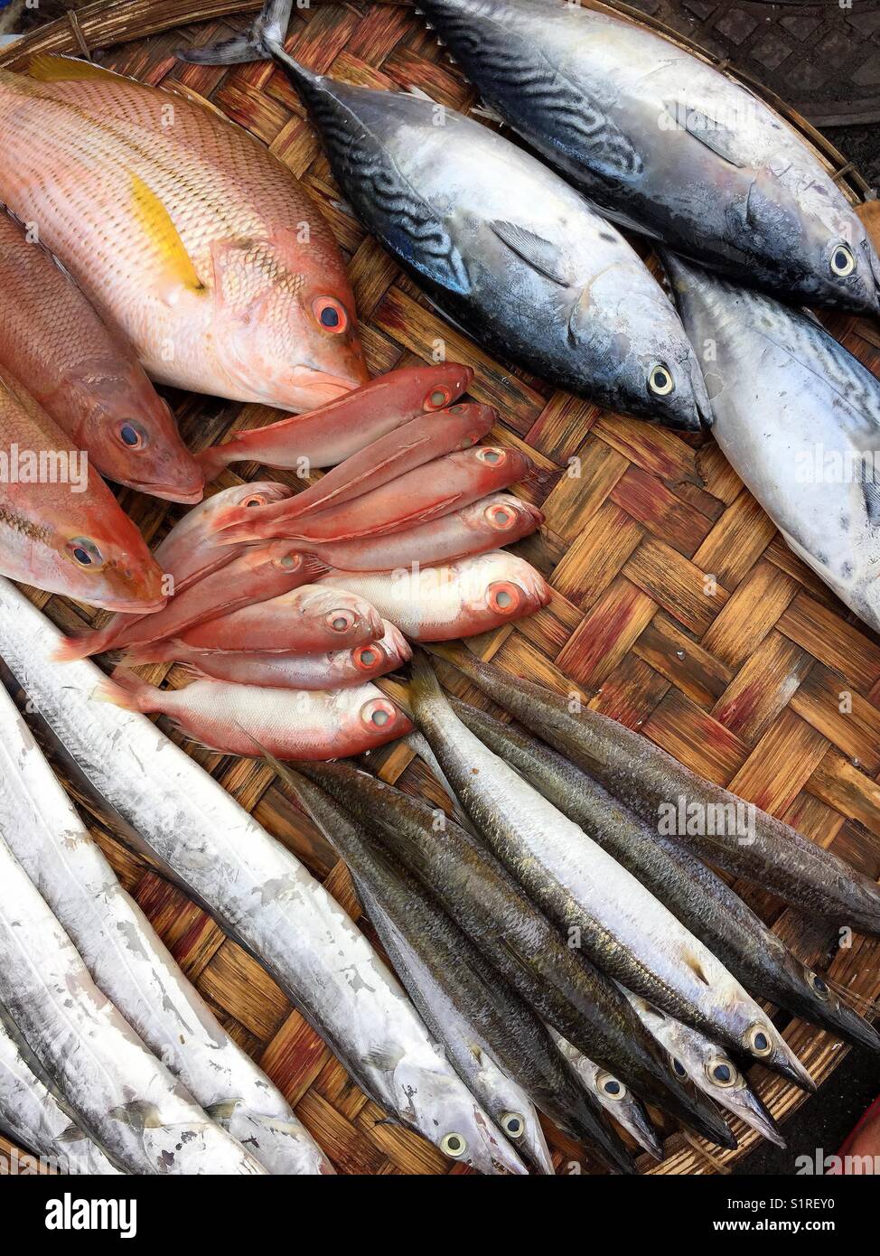 Ristorante con specialità di pesce. Foto Stock