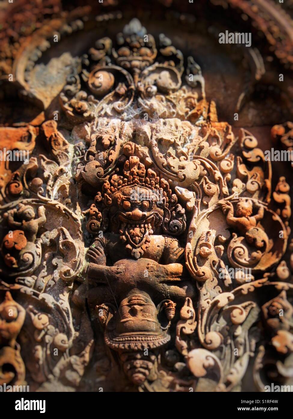 Re delle scimmie, Siem Reap, Angkor Watt, Cambogia Foto Stock