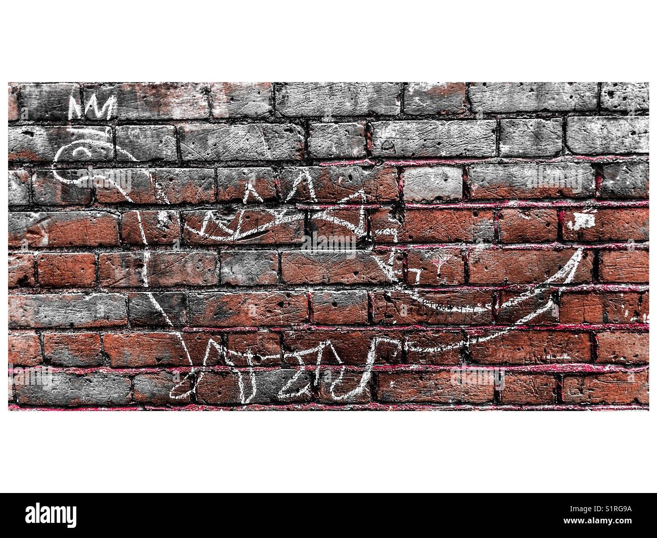 Re dinosauro brontosaurus chalk graffiti su un muro di mattoni Foto Stock