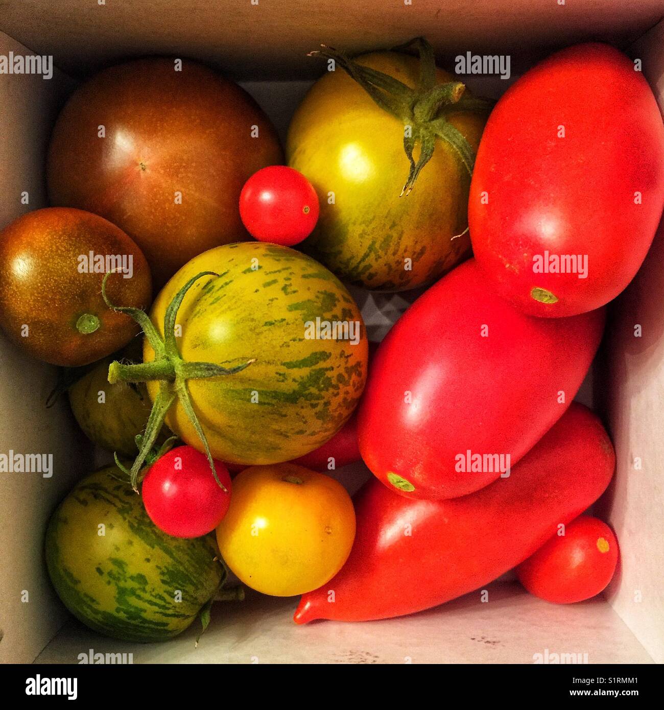 Pomodori in una vasta gamma di colori - Immagine stock catturata con smartphone