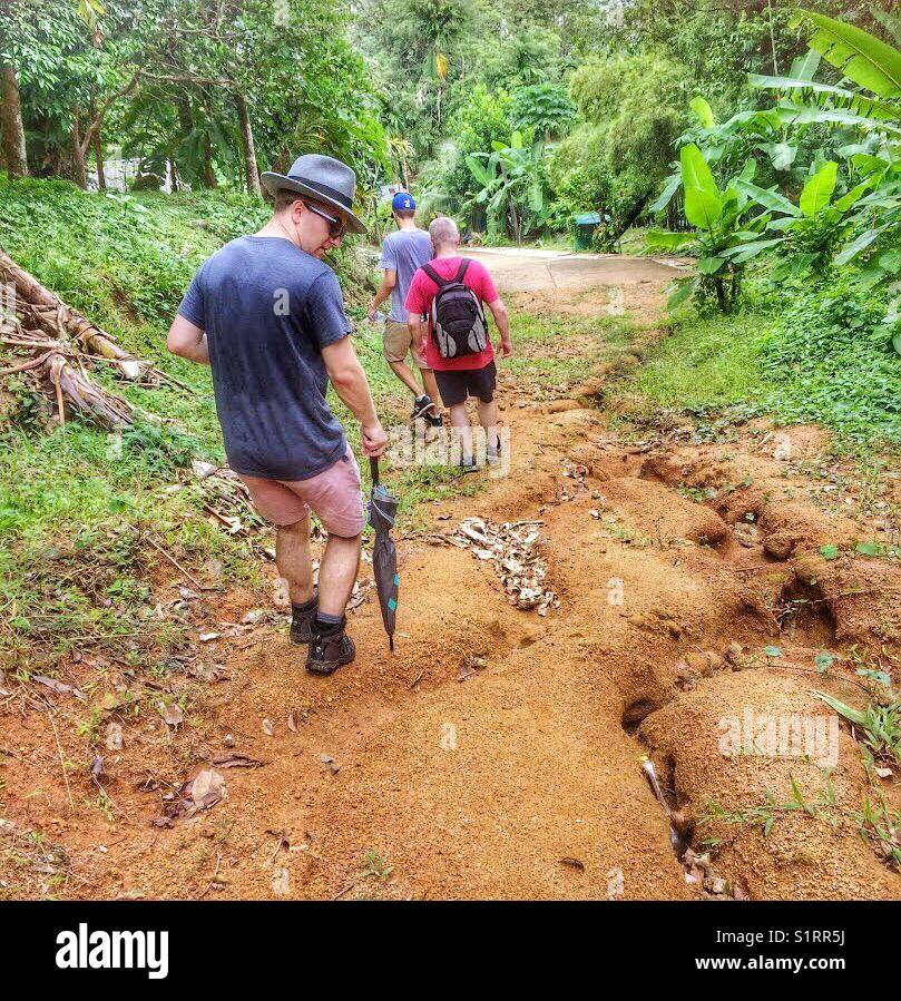 Gli amici del trekking giù per un sentiero natura attraverso boschi, vicino a Kata Noi. Uno usando un ombrello come improvvisato bastone. Phuket, Tailandia. Foto Stock