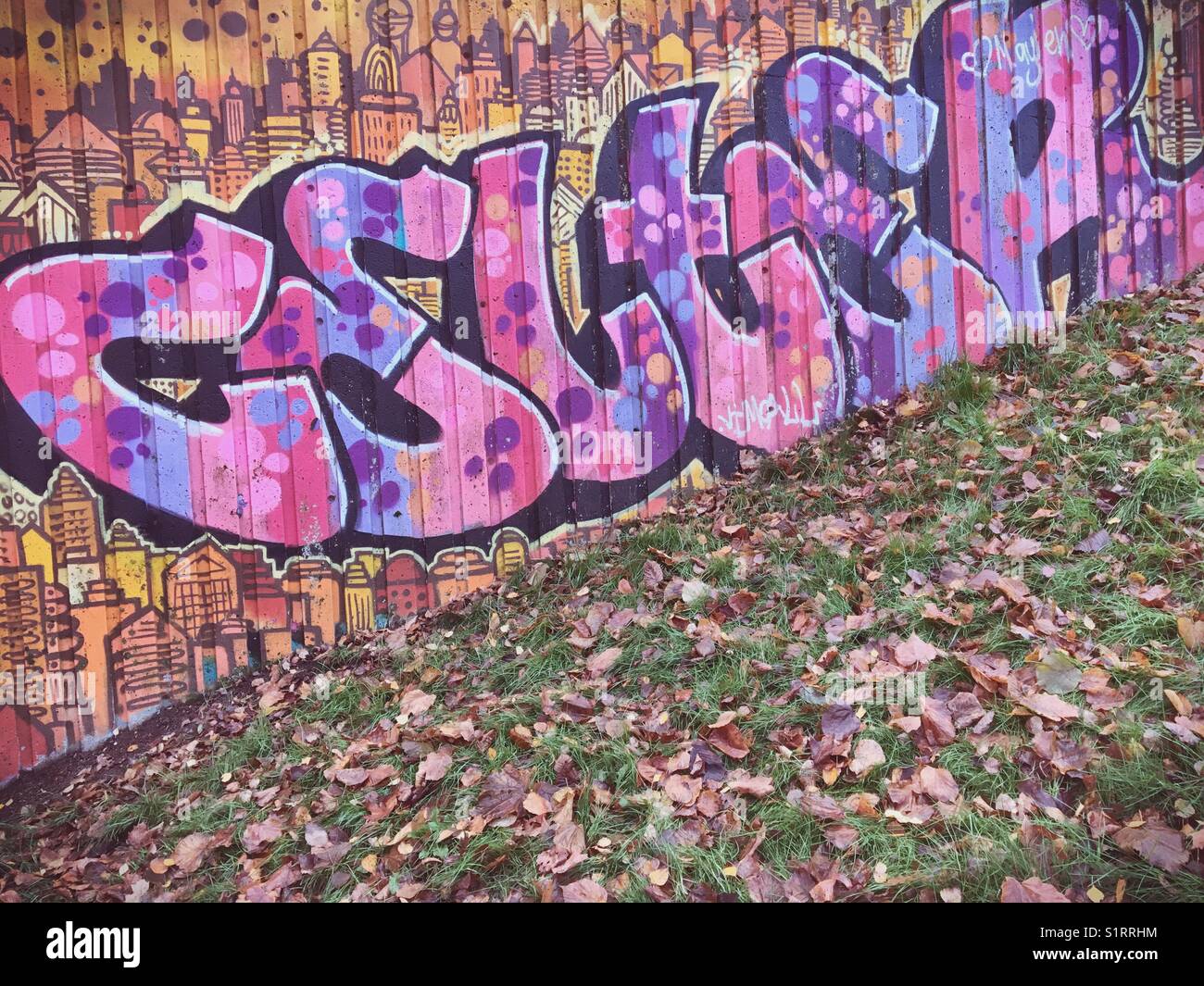 Grafitti su una parete con una foglia coperto a terra di fronte. Foto Stock