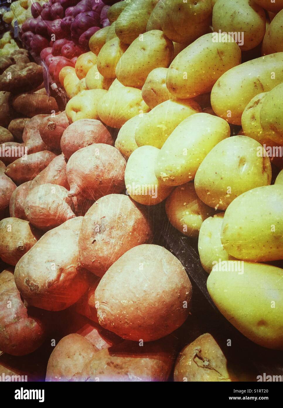 Varietà di patate in un supermercato - Immagine stock catturata con smartphone