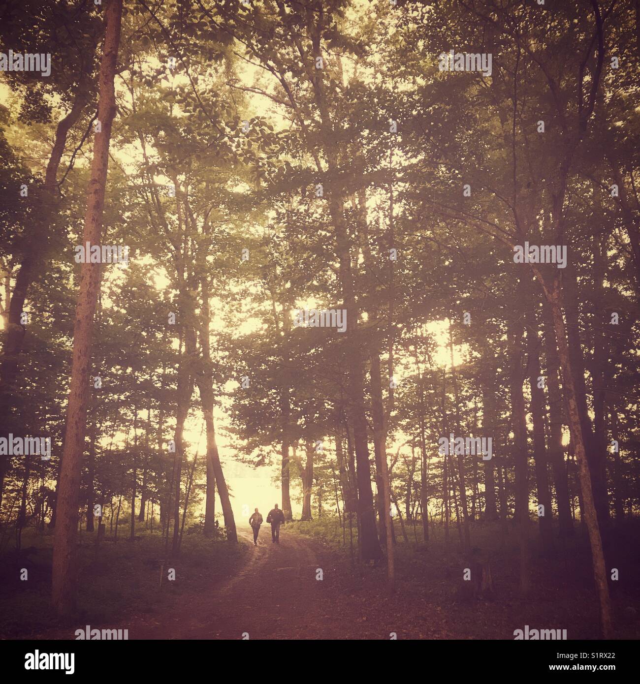 Due persone che camminano per un sentiero nel bosco. - Immagine stock catturata con smartphone