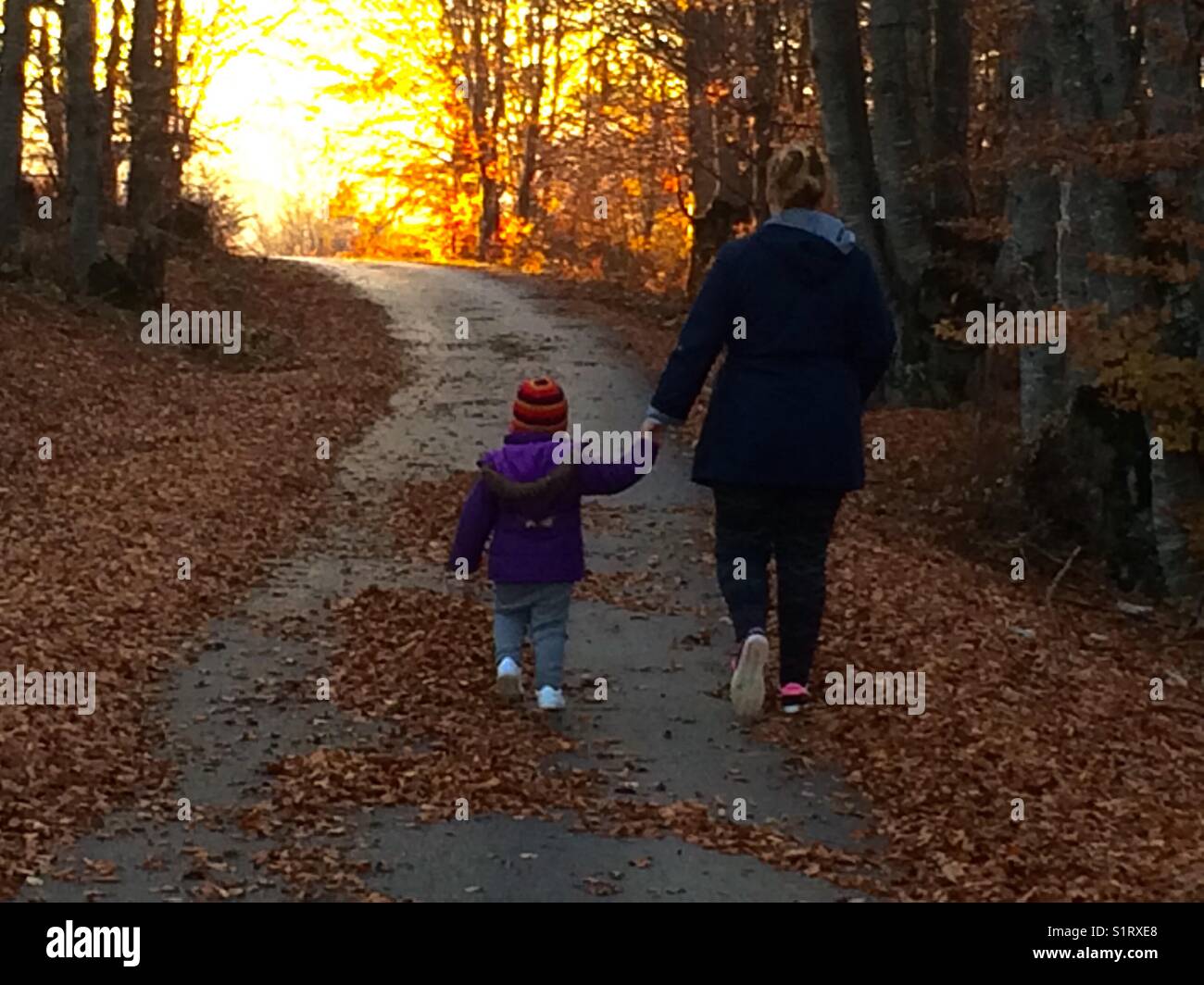 La figlia e la madre a piedi al tramonto in autunno Foto Stock