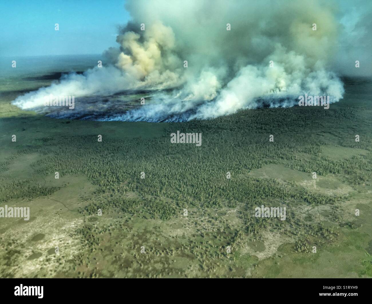 Incendio nel territorio del Nord dell'Australia, vista da un aereo. Foto Stock