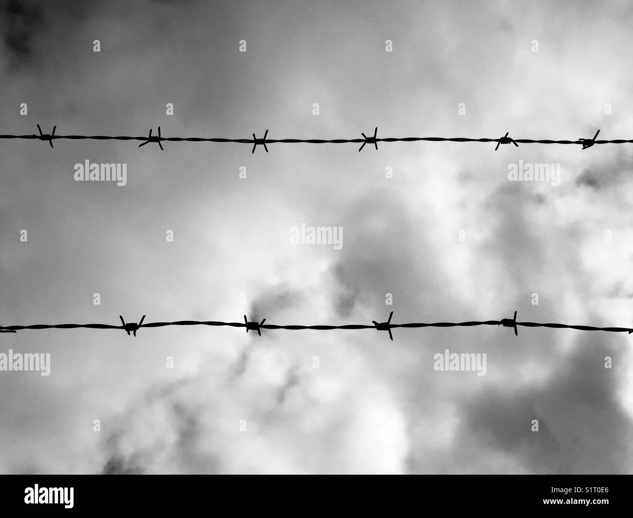 Filo spinato - Immagine stock catturata con smartphone