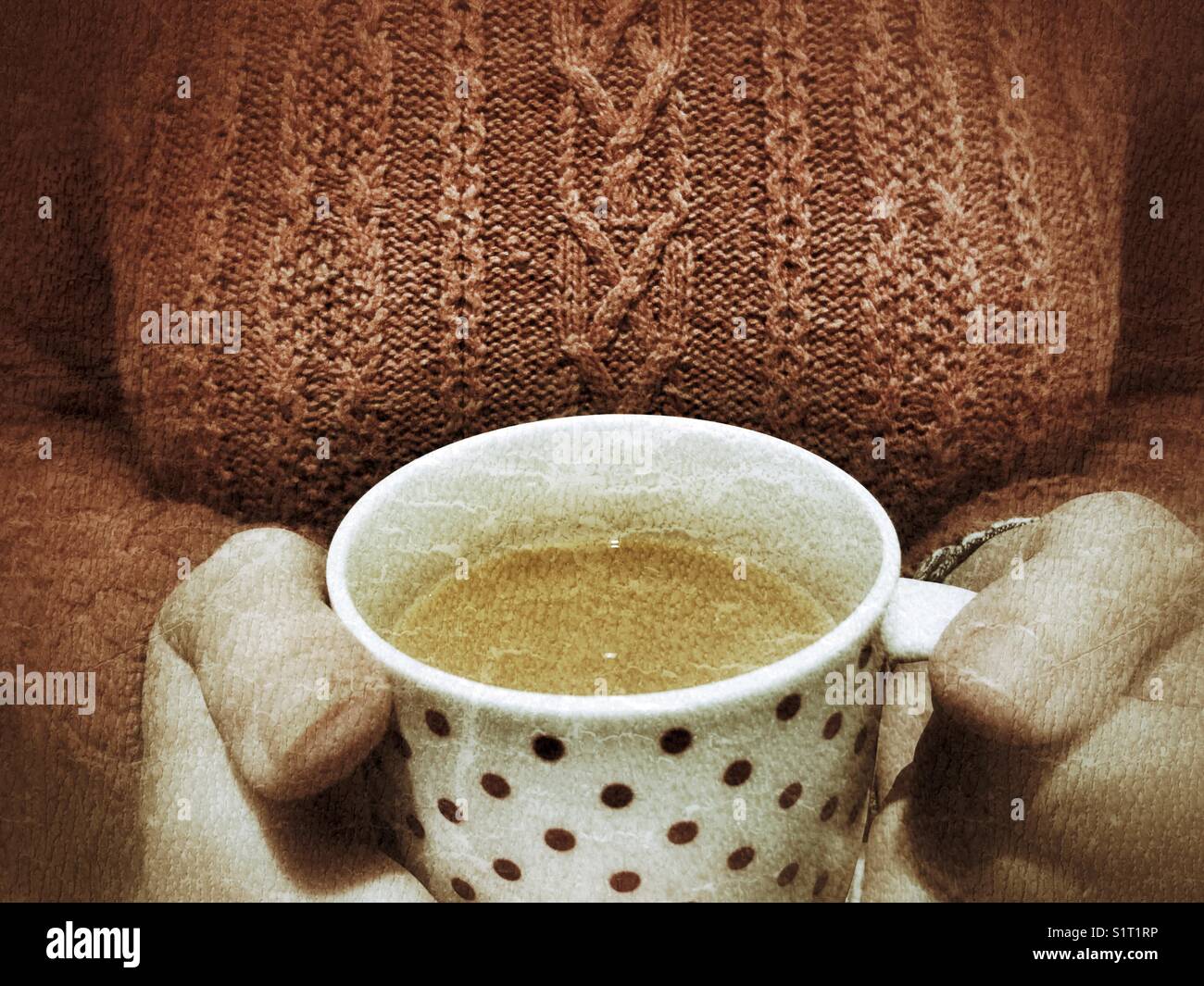 Donna che indossa un maglione a maglia con una tazza di tè, primo piano. Foto Stock