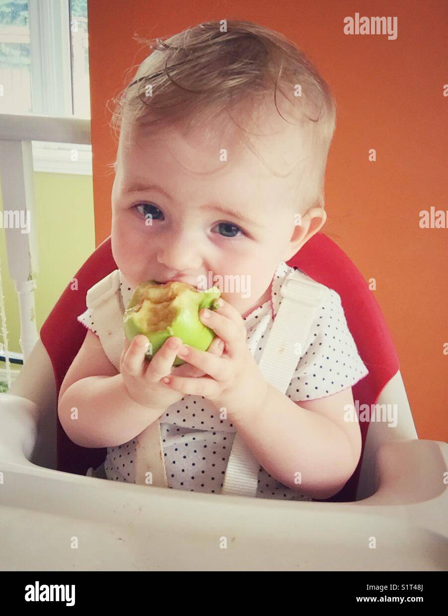 Un bambino di un anno che mangia una mela verde Granny Smith su un seggiolone - Immagine stock catturata con smartphone
