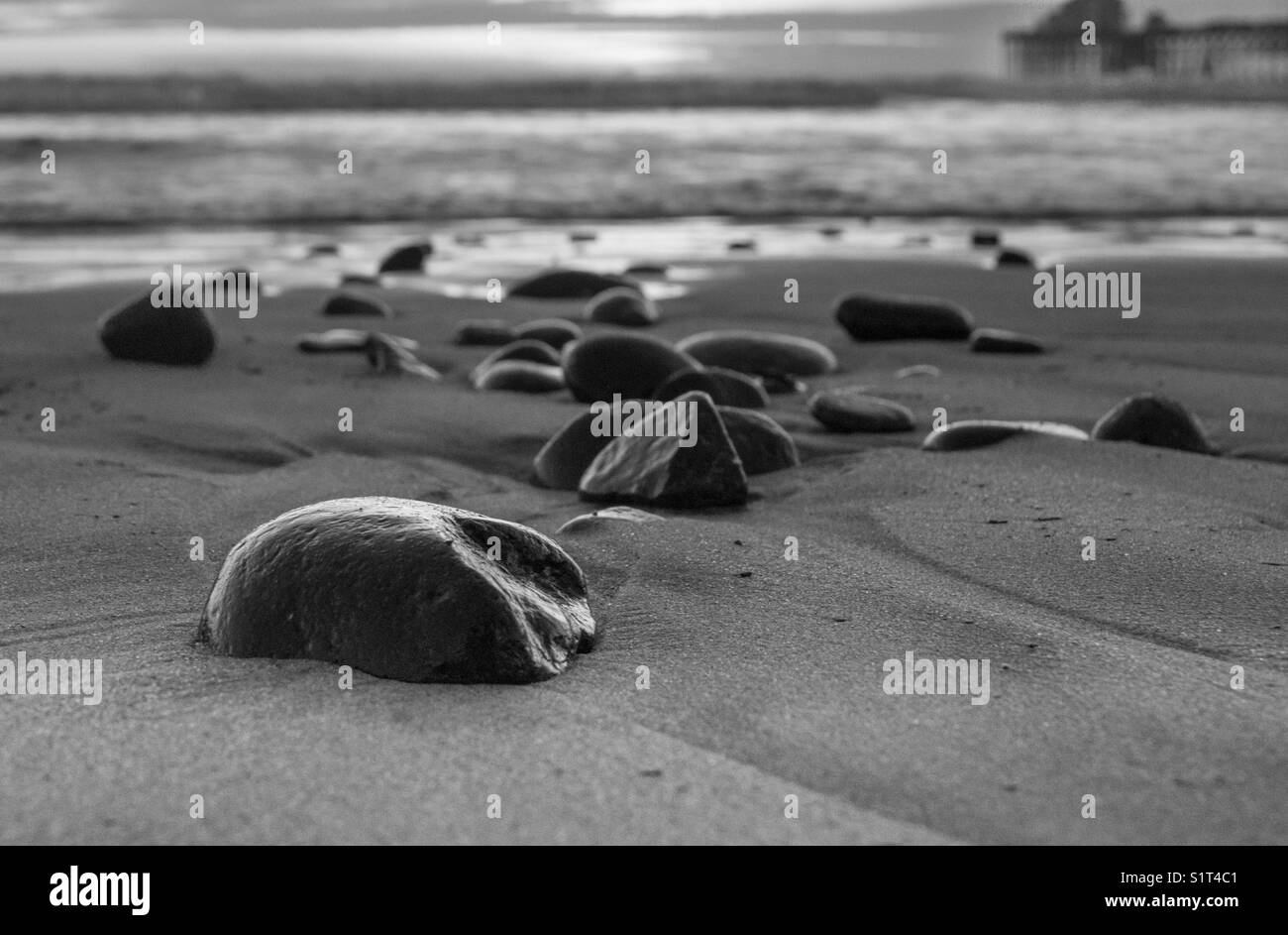 Prendete il tempo di apprezzare i piccoli dettagli non importa quanto piccolo che può essere Foto Stock