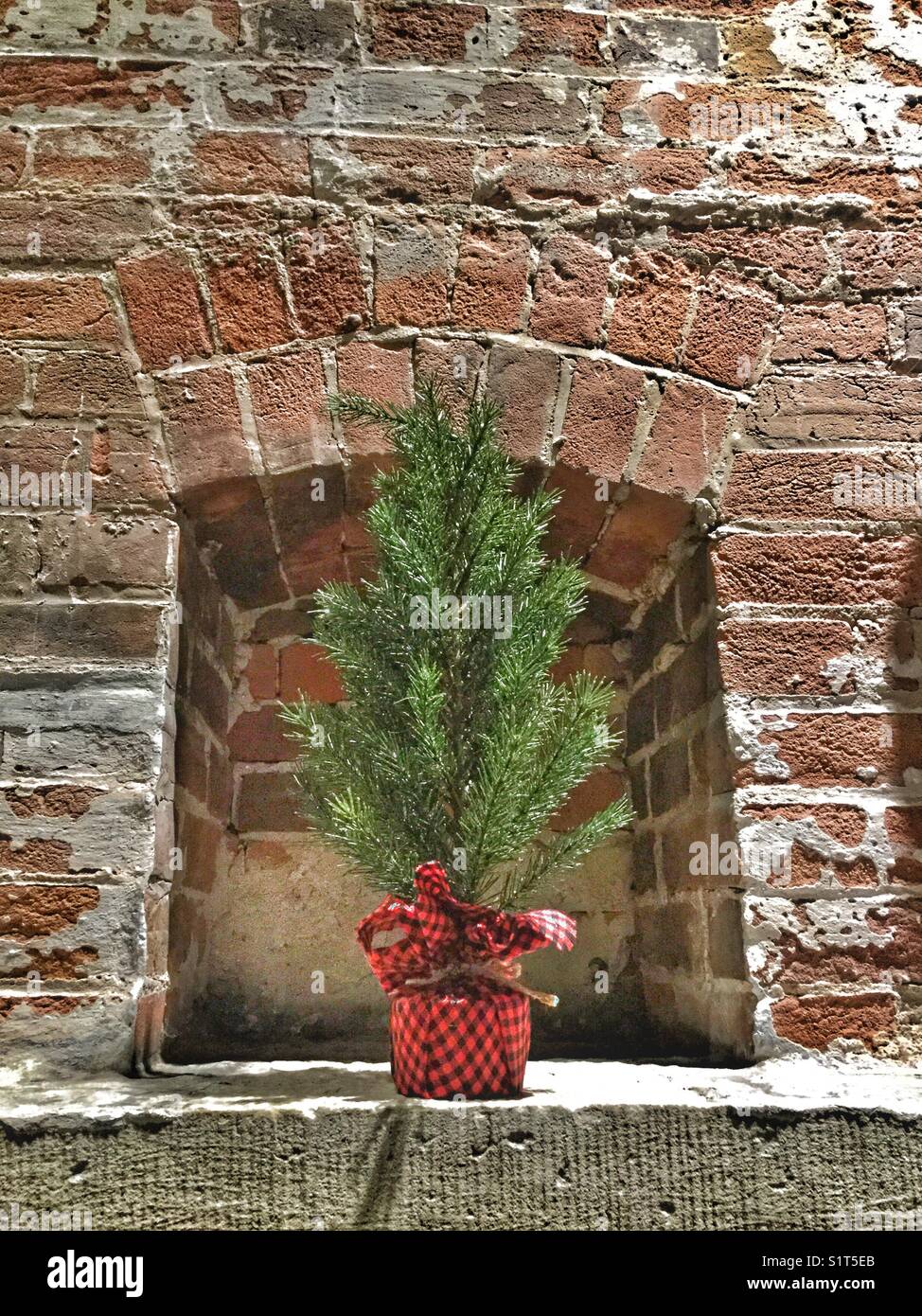 Un decorativo piccolo albero di Natale. Foto Stock