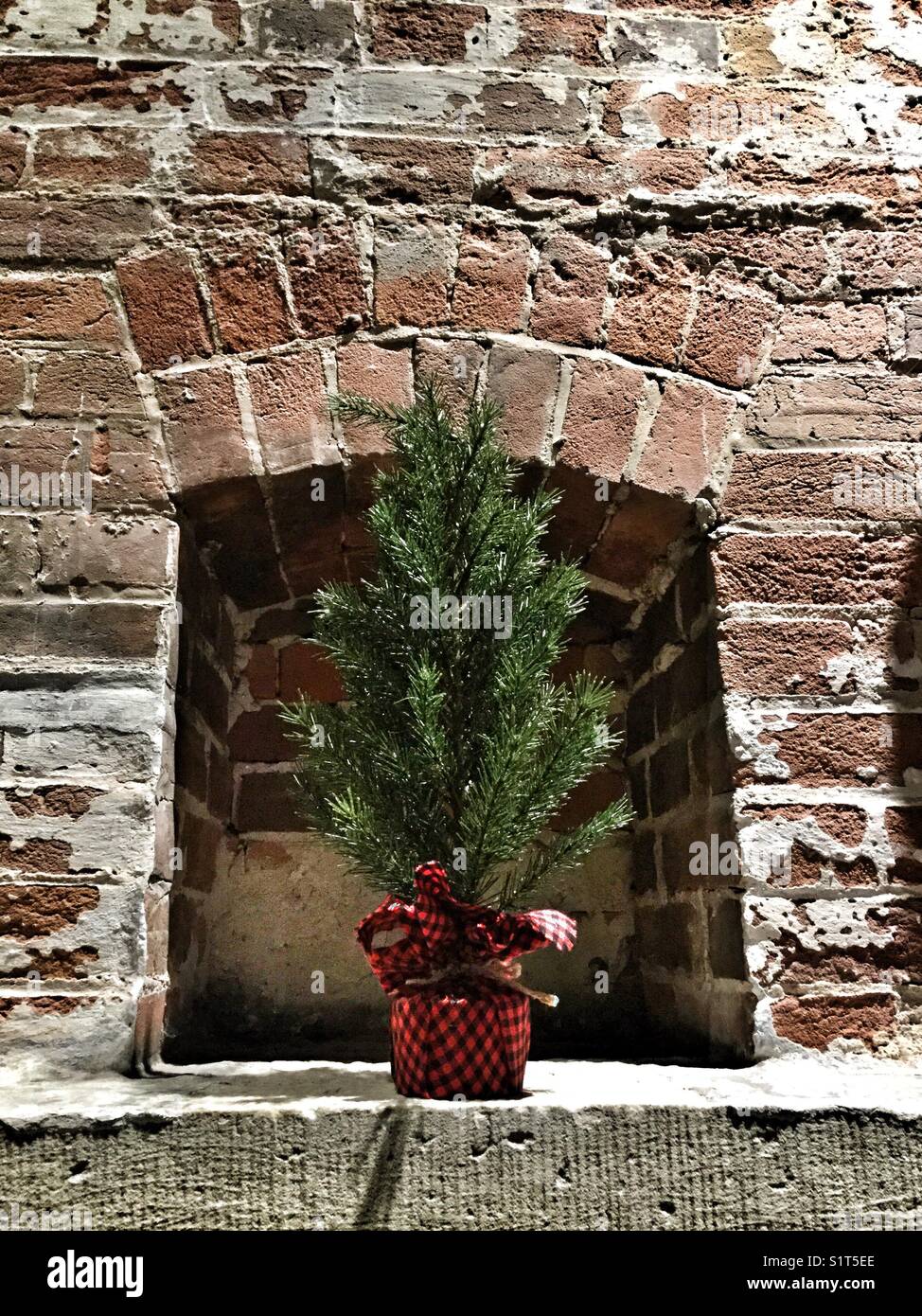 Una piccola festa di Natale ad albero. Foto Stock