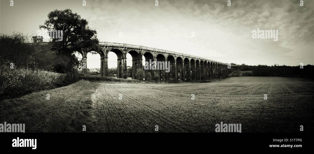 Bianco e nero panorama di Ouse Valley il viadotto in West Sussex Foto Stock