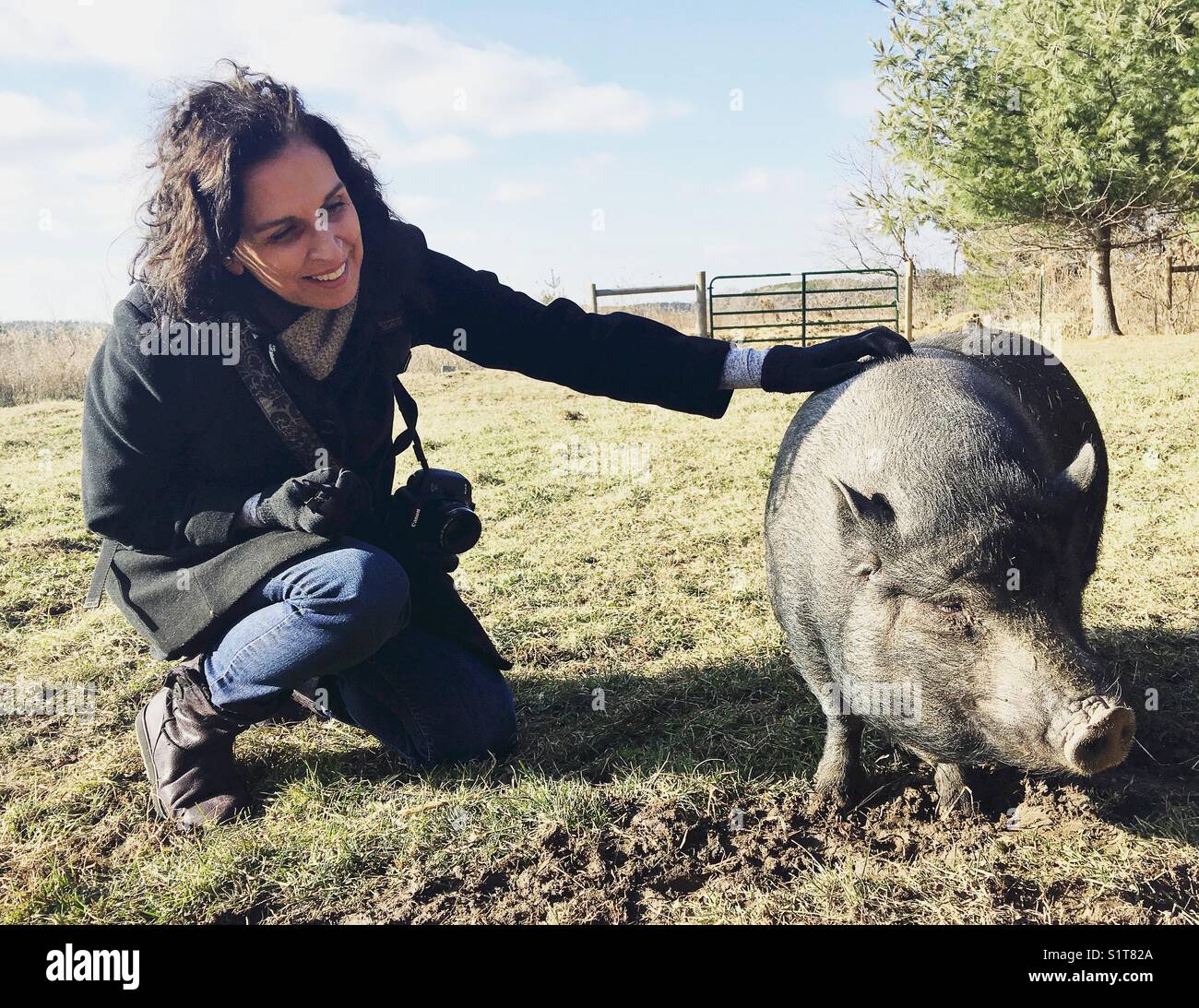 Una Donna Come Accarezzare Un Maiale Foto Stock Alamy