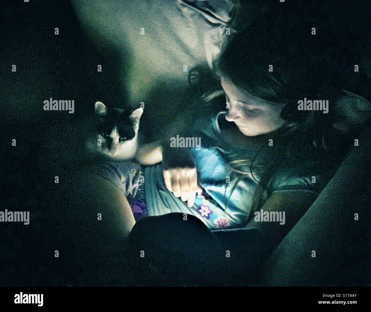 Ragazza utilizzando tablet al buio con pet cat rilassante accanto a lei Foto Stock