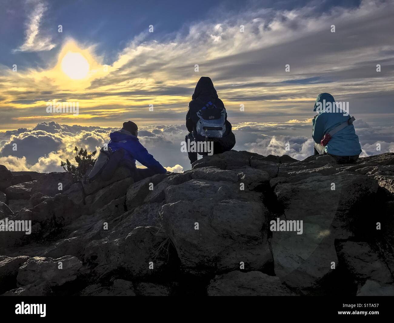 Gruppo di amici a guardare il tramonto sulla cima di Haleakala, Maui Foto Stock