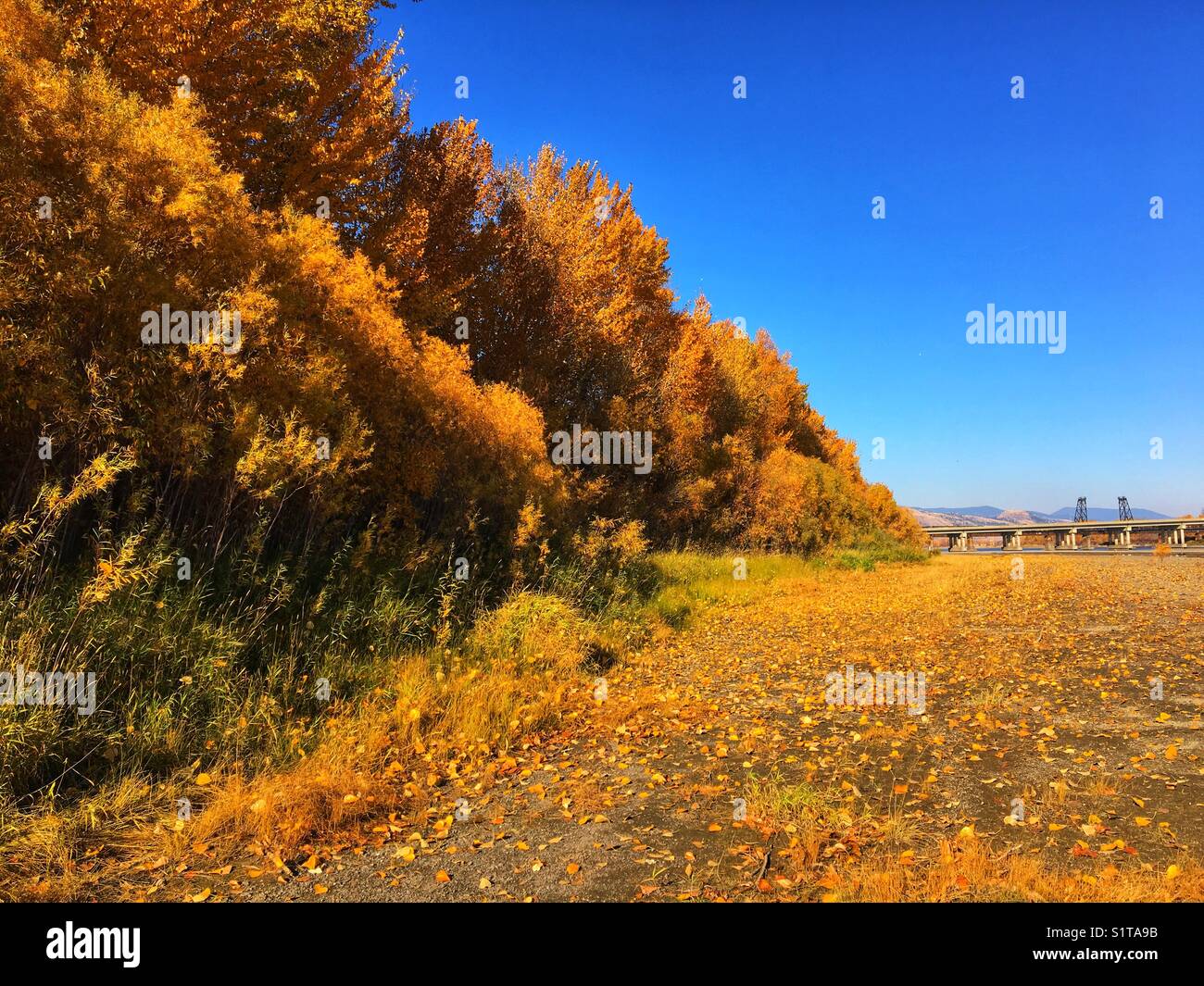 Bella giornata di caduta! Foto Stock