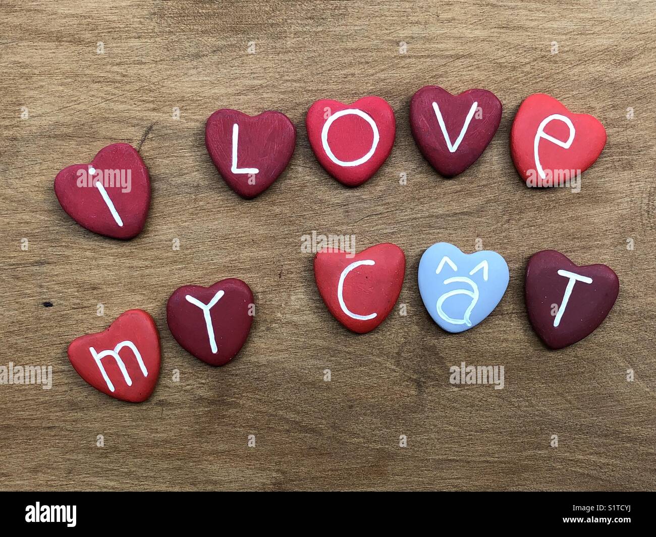 Amo la mia gatta Foto Stock