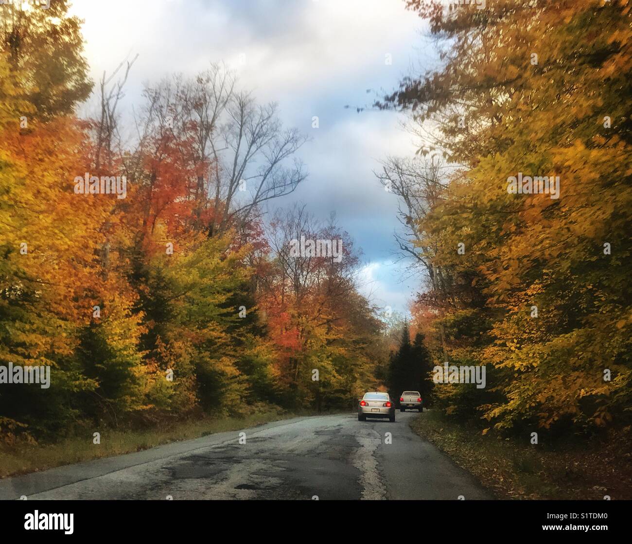 Vetture su strada con alberi d'autunno Foto Stock