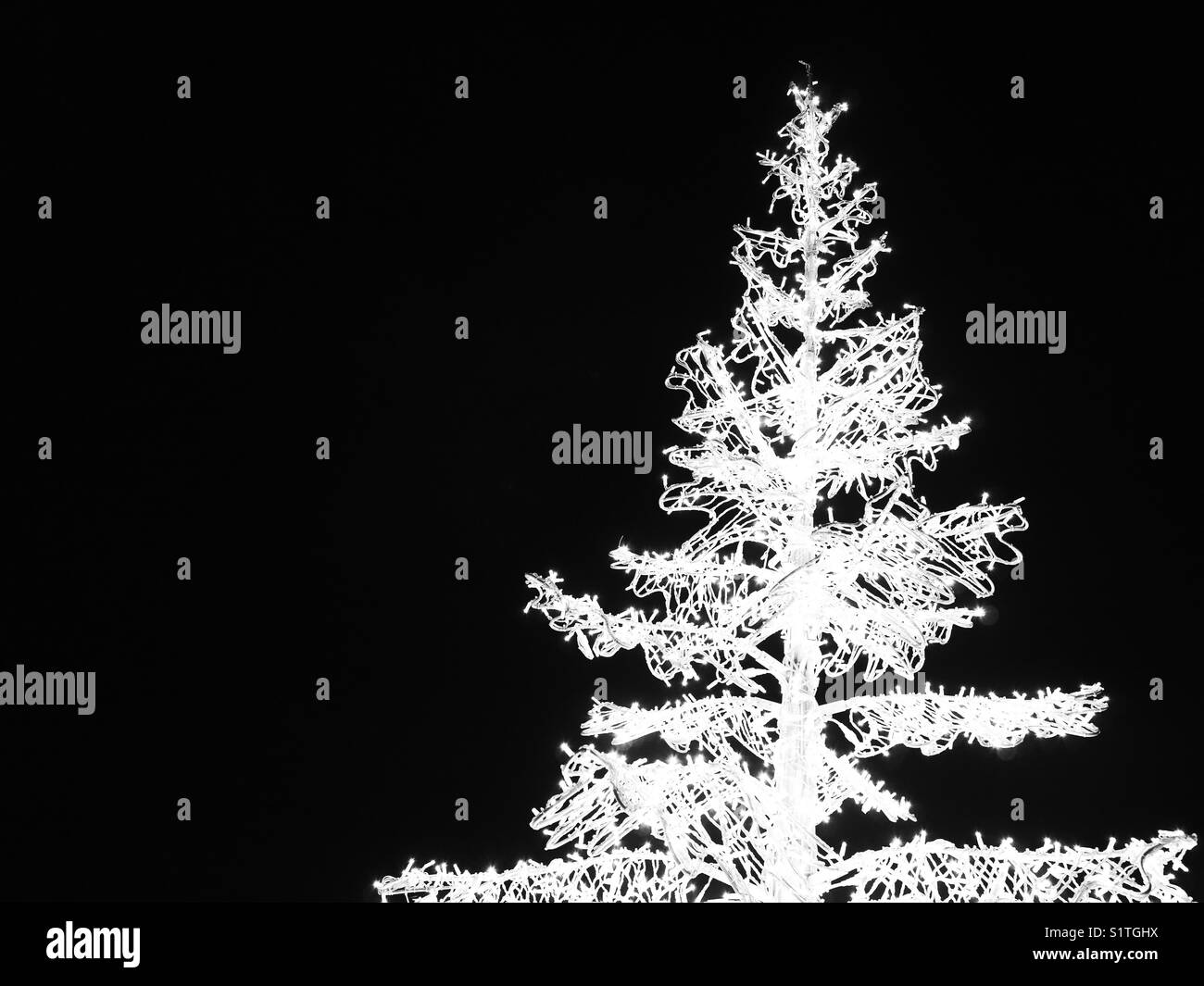 Illuminato albero di natale Foto Stock