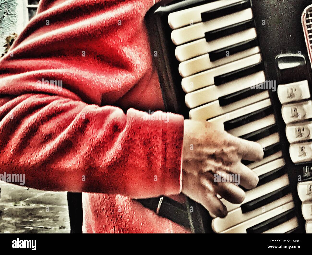 Musicista Folk, suonando una fisarmonica a piano ravvicinato della mano destra sulle chiavi. Il Dorset, Inghilterra - Immagine stock catturata con smartphone