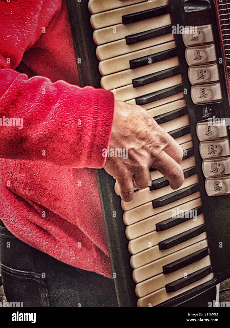Musicista Folk, suonando una fisarmonica a piano ravvicinato della mano destra sulle chiavi. Il Dorset, Inghilterra - Immagine stock catturata con smartphone