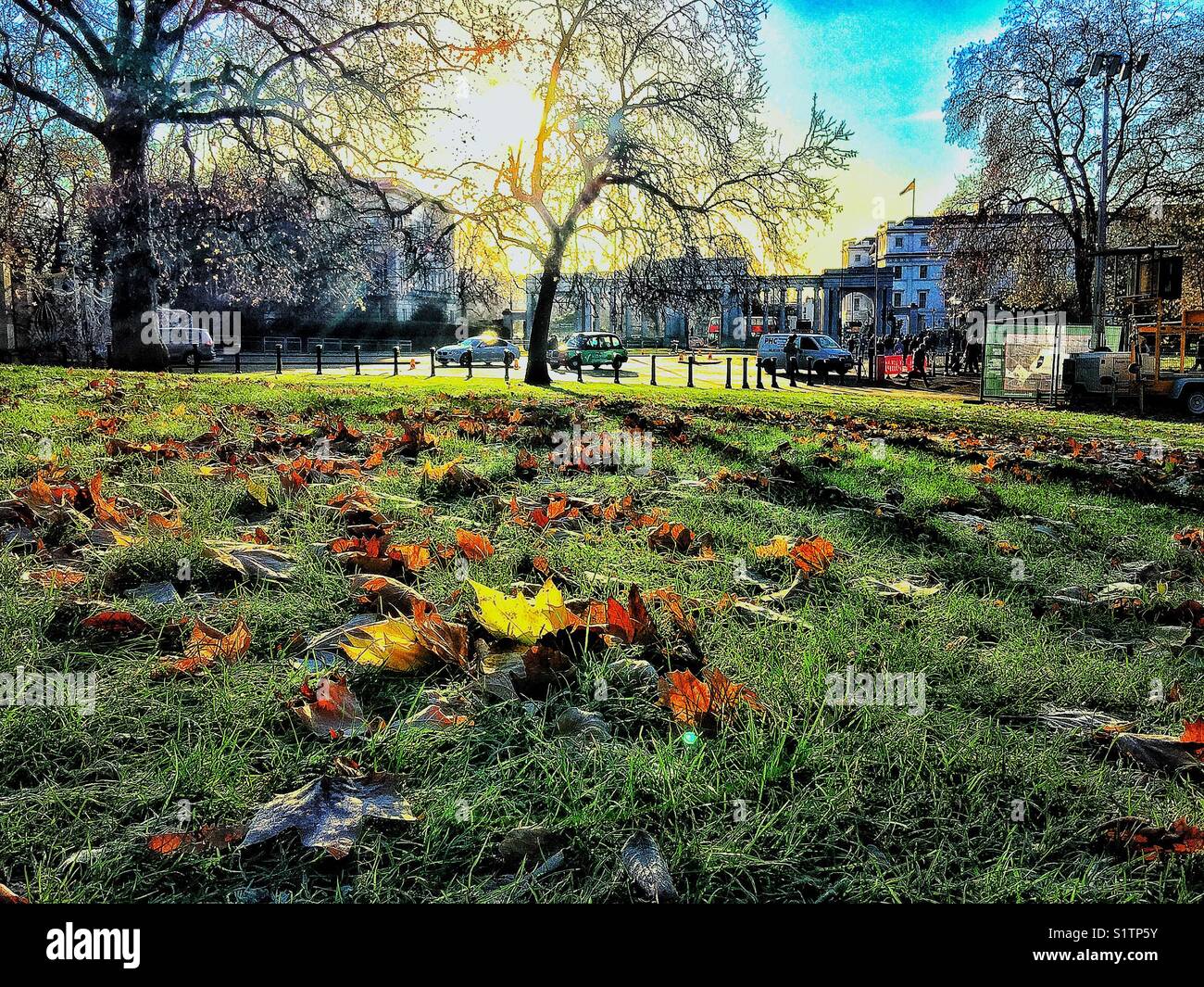 Un inverno mattina in Hyde Park, Londra - Immagine stock catturata con smartphone
