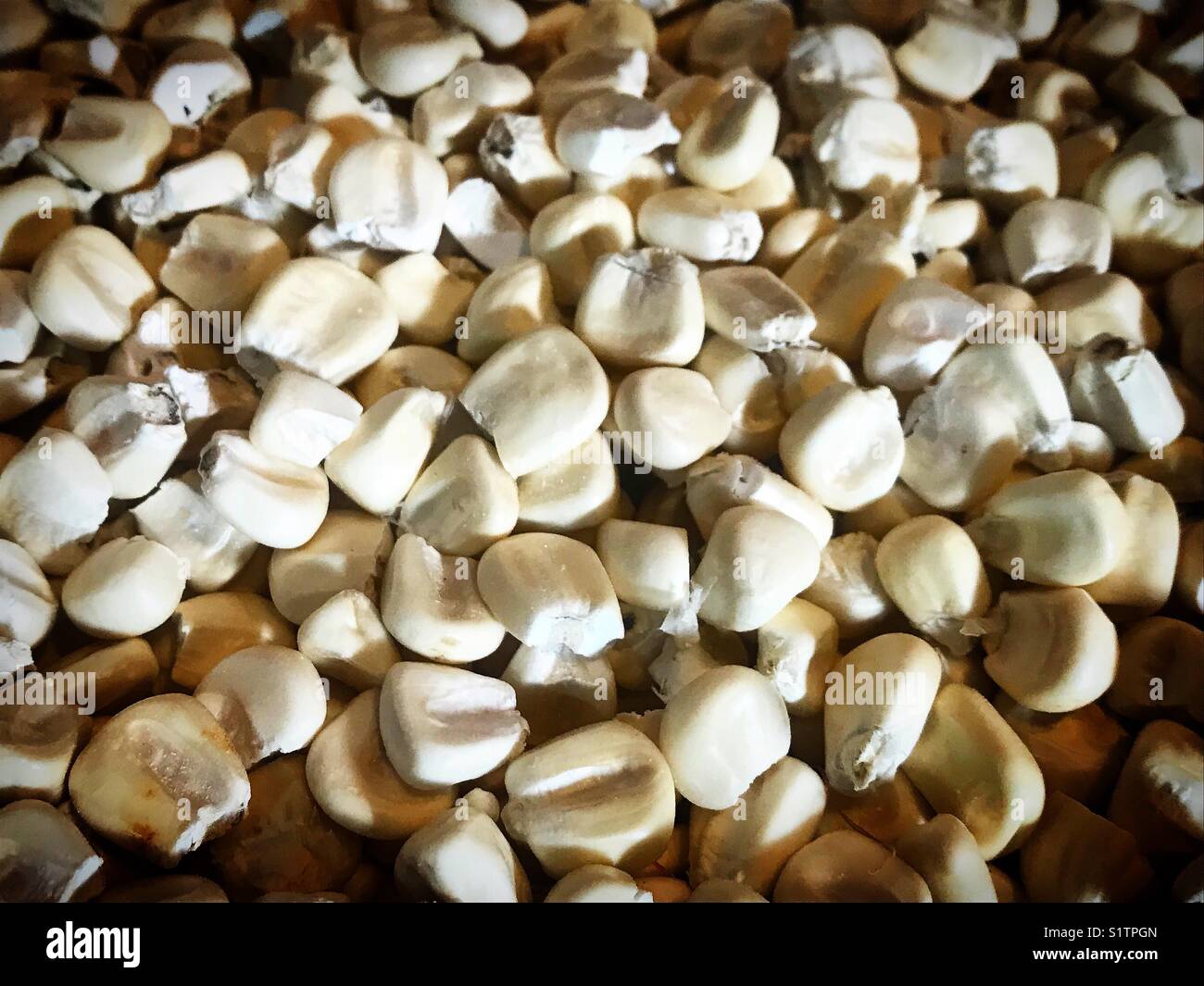 Mais bianco al Mercado Benito Juarez Market di Oaxaca, Messico - Immagine stock catturata con smartphone
