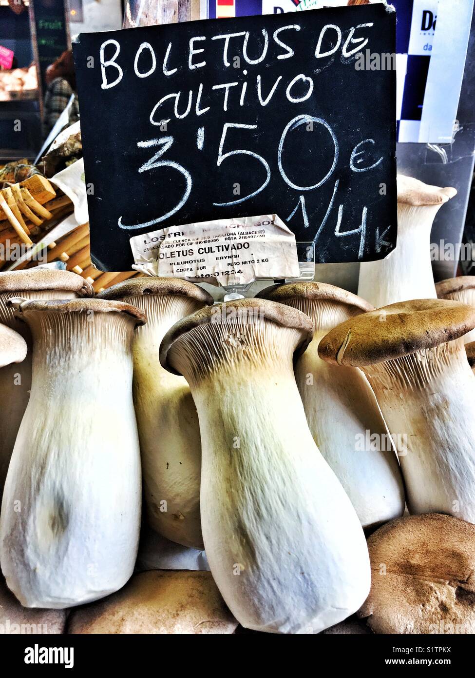Funghi commestibile per la vendita sul mercato, Spagna Foto Stock