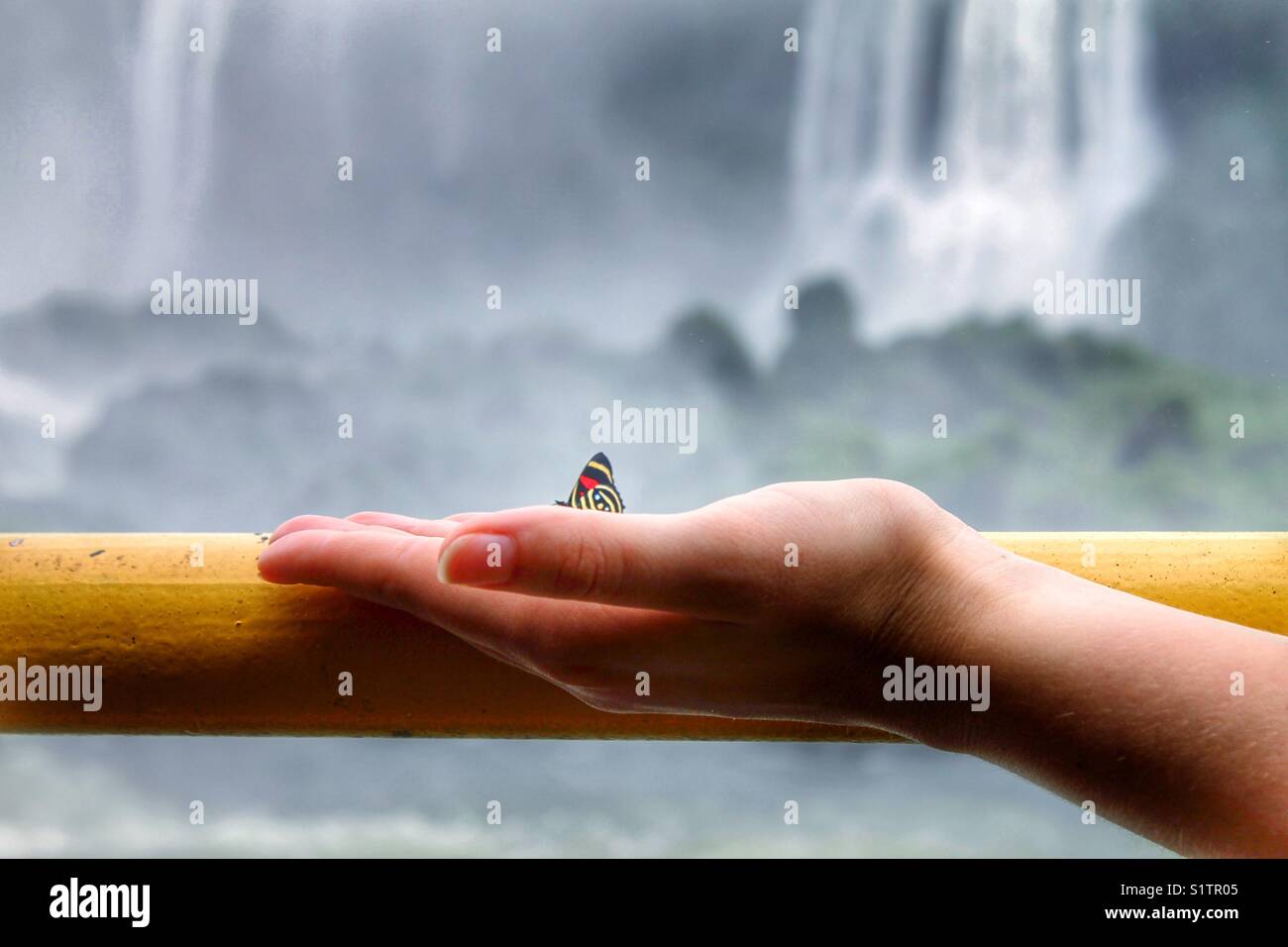 Farfalla sulla mano di una donna con una cascata in background Foto Stock