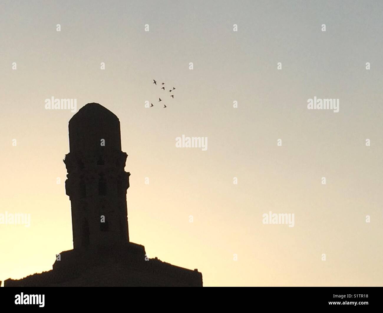 La moschea Al-Hakem il minareto con gli uccelli di volare intorno al momento del sorgere del sole. (Vecchia Moschea nel vecchio Cairo). Foto Stock