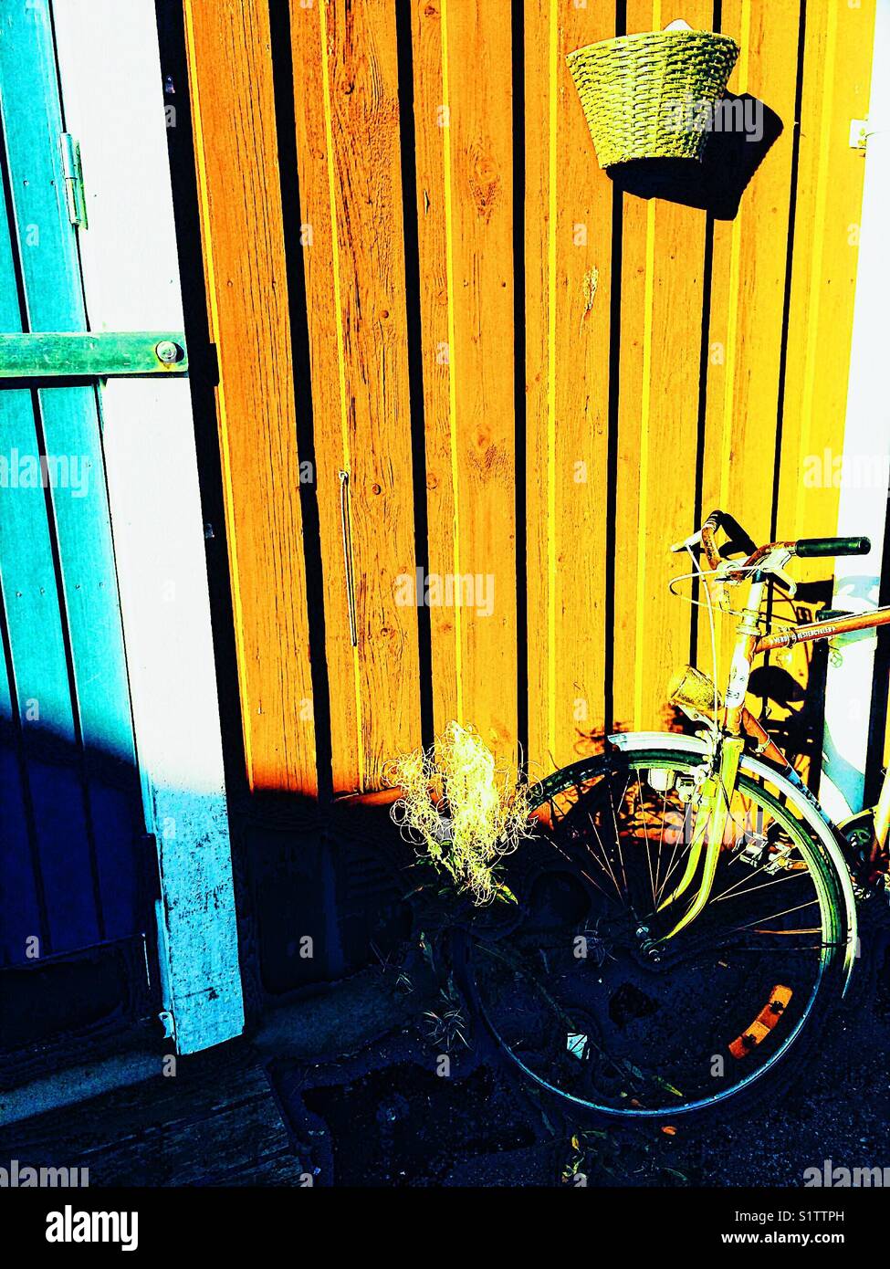 Bike accanto al legno rustico cabin, Svezia e Scandinavia - Immagine stock catturata con smartphone