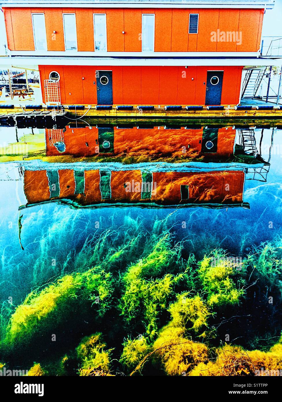 Edificio riflessa nell'acqua e la vista delle piante sottomarine, Svezia e Scandinavia - Immagine stock catturata con smartphone