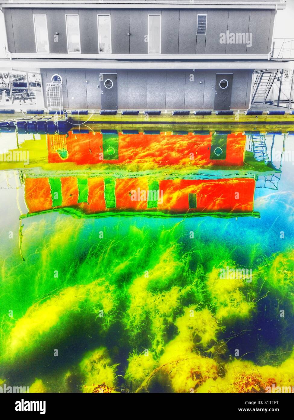 Edificio riflessa nell'acqua e la vista delle piante sottomarine, Svezia e Scandinavia - Immagine stock catturata con smartphone