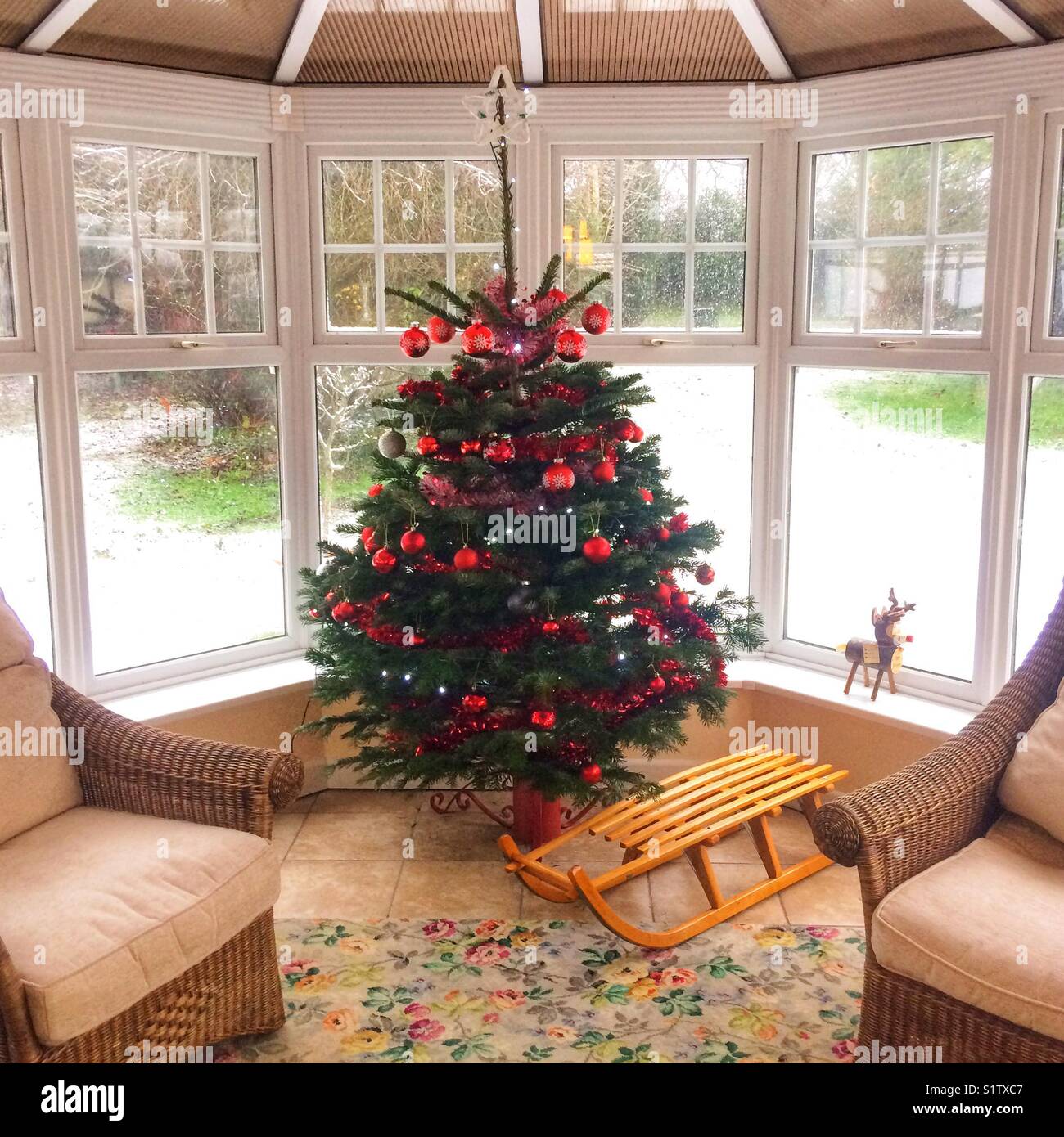 Albero di Natale vero in una veranda decorata con red baubles, con neve sul terreno al di fuori. Hampshire, Inghilterra, Regno Unito. Foto Stock