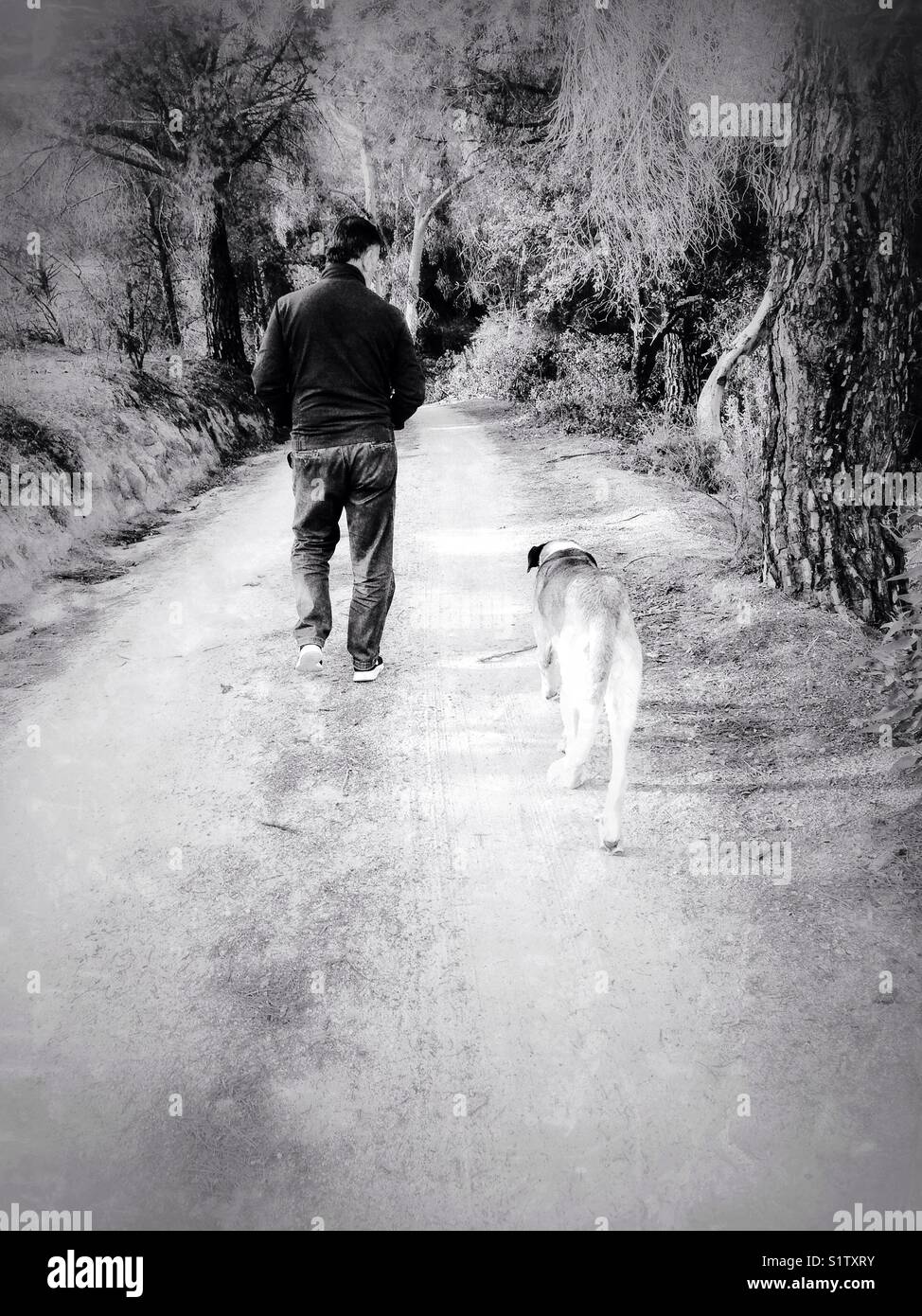 Uomo e cane a camminare lungo il vicolo del paese - Immagine stock catturata con smartphone