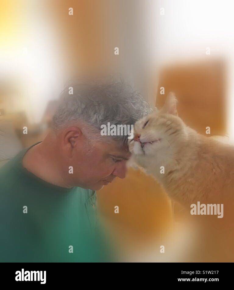 Il mio cuore...!!! - Immagine stock catturata con smartphone