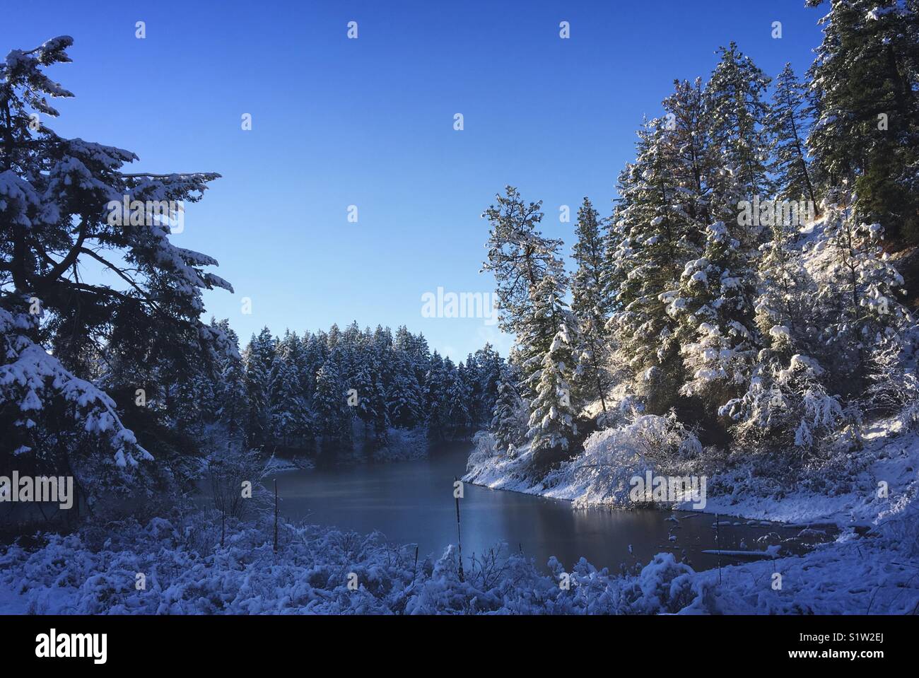 Coperta di neve paesaggio invernale nella Okanagan Valley con temperature sotto lo zero e il cielo blu. Foto Stock