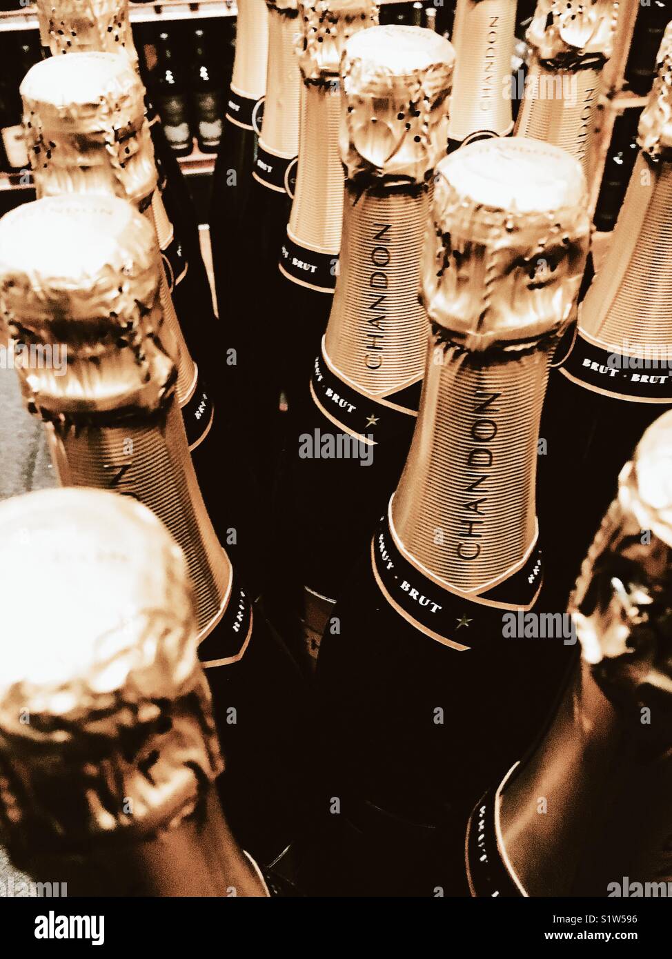 Bottiglie di Champagne Foto Stock
