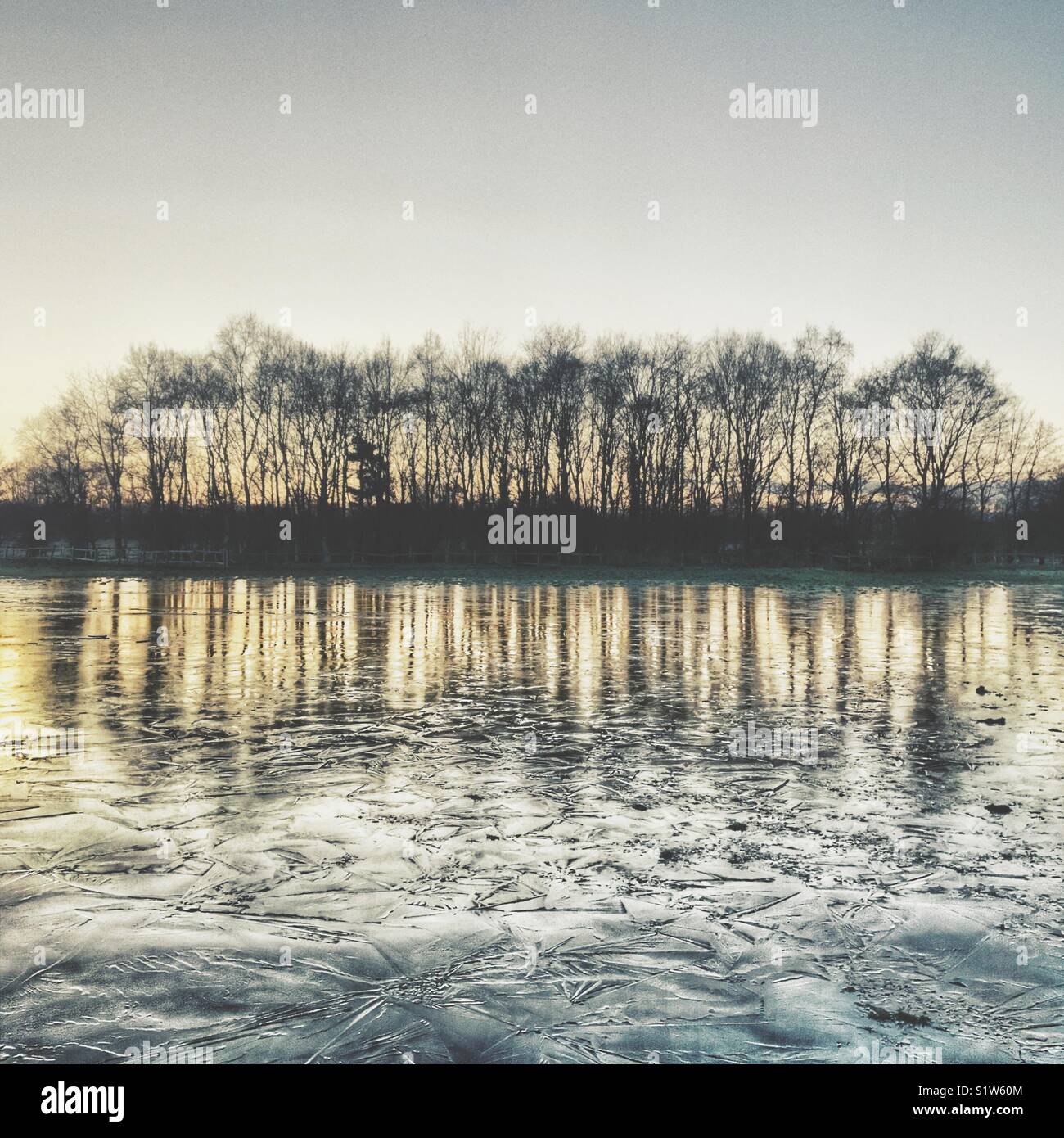 Inverno alberi riflessa in acqua congelata al crepuscolo. Ghiaccio freddo paesaggio. Foto Stock