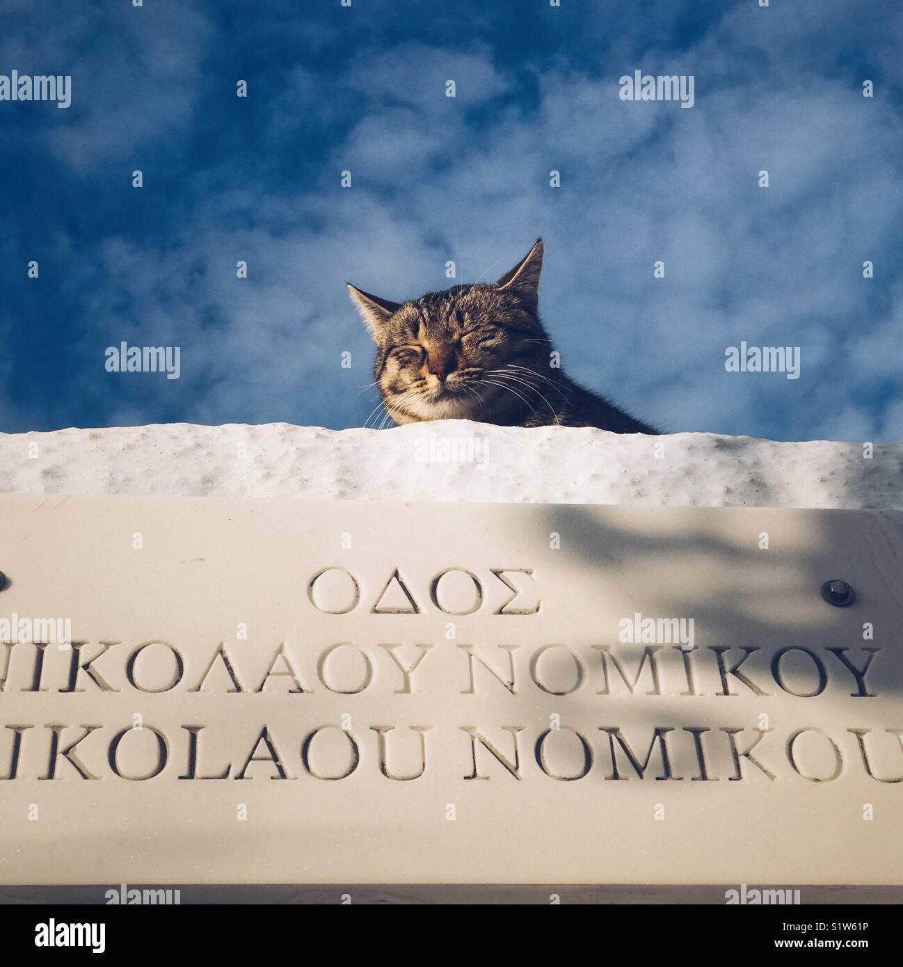 Un gatto con gli occhi chiusi sulla parte superiore di una casa greca segno Foto Stock