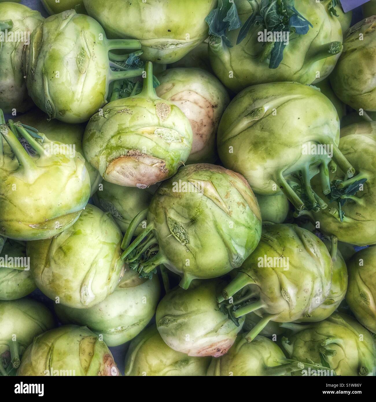 Il cavolo rapa per la vendita su un mercato in stallo in Spagna - Immagine stock catturata con smartphone