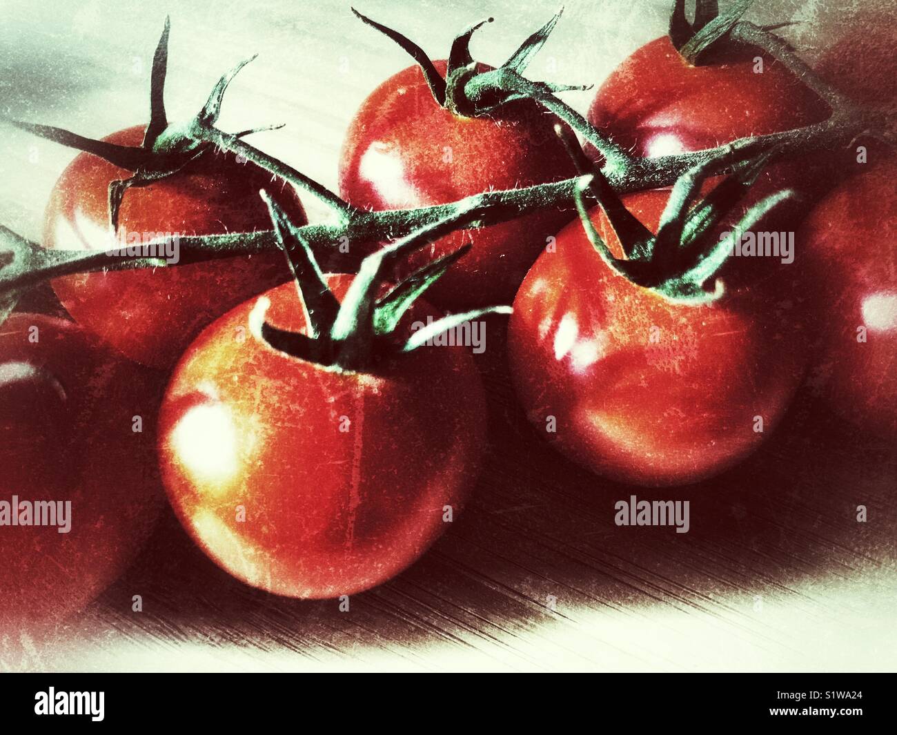 Mature, rosso, di pomodori ciliegini Foto Stock
