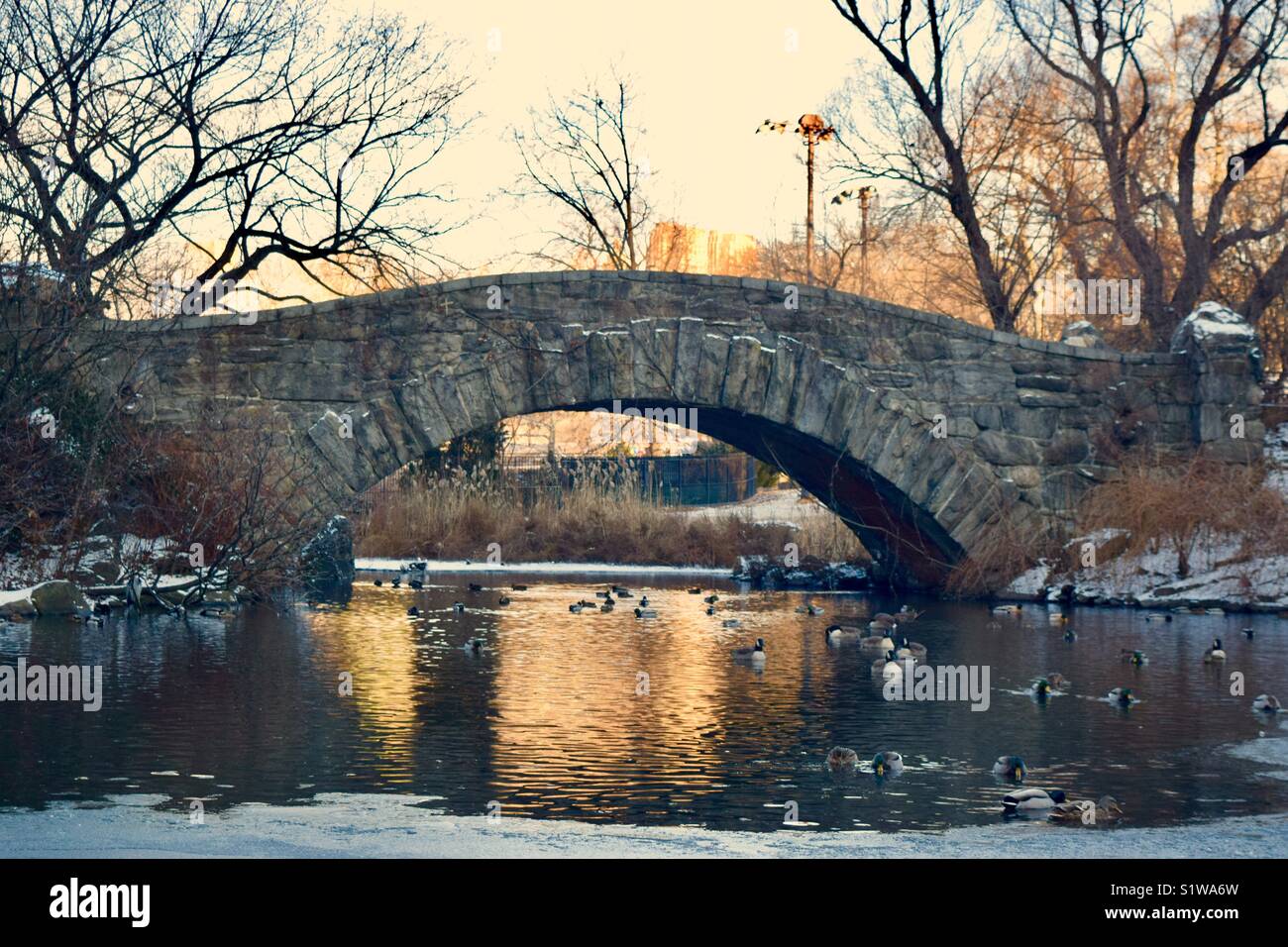Gapstow Bridge Foto Stock
