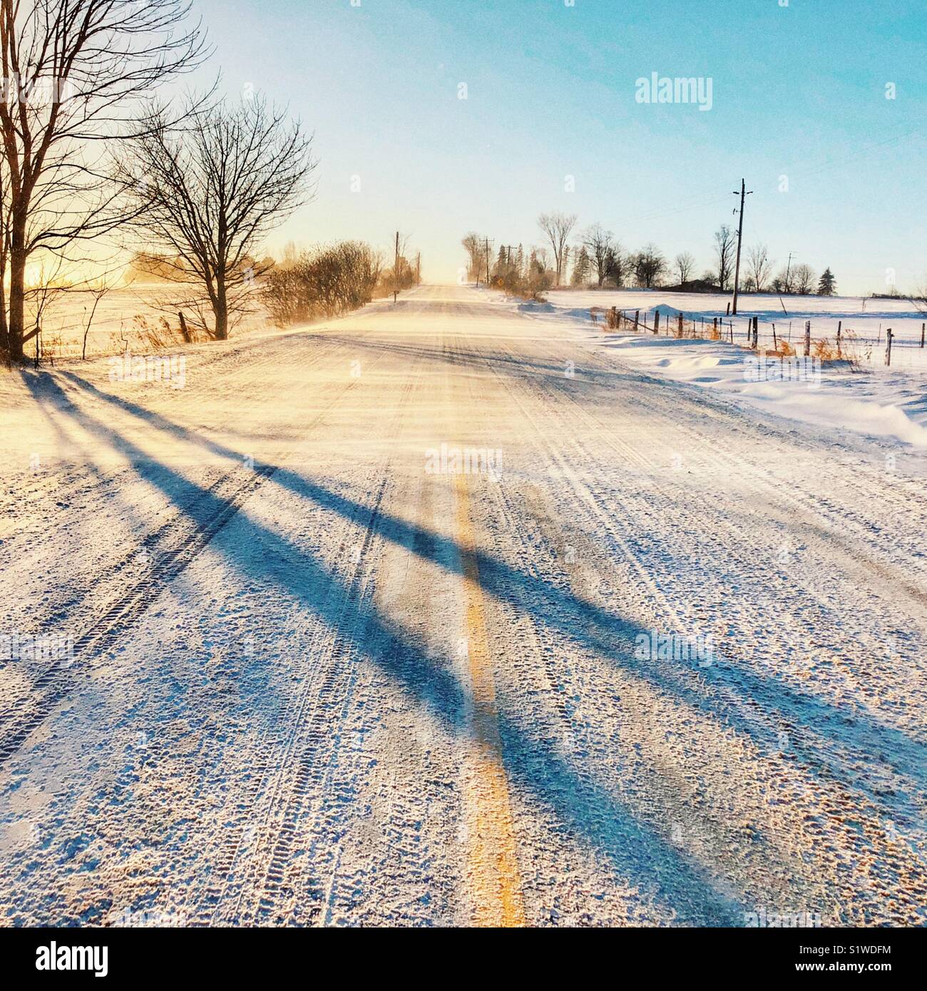 Strada rurale con linea gialla coperto di neve con il vento che soffia attraverso la neve al tramonto Foto Stock