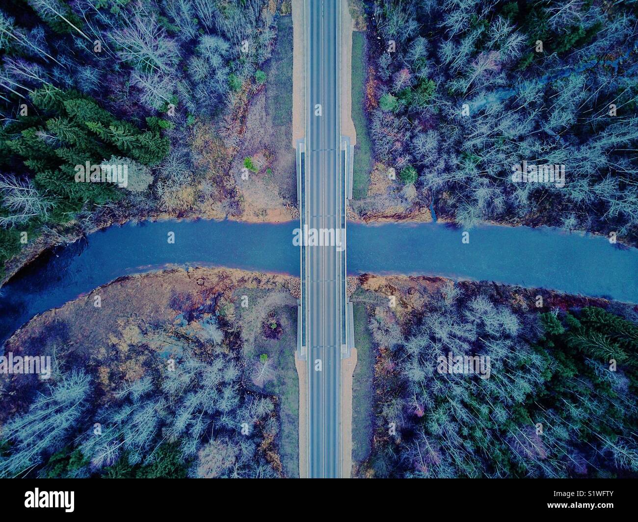 Drone foto del ponte nella foresta Lettone Foto Stock