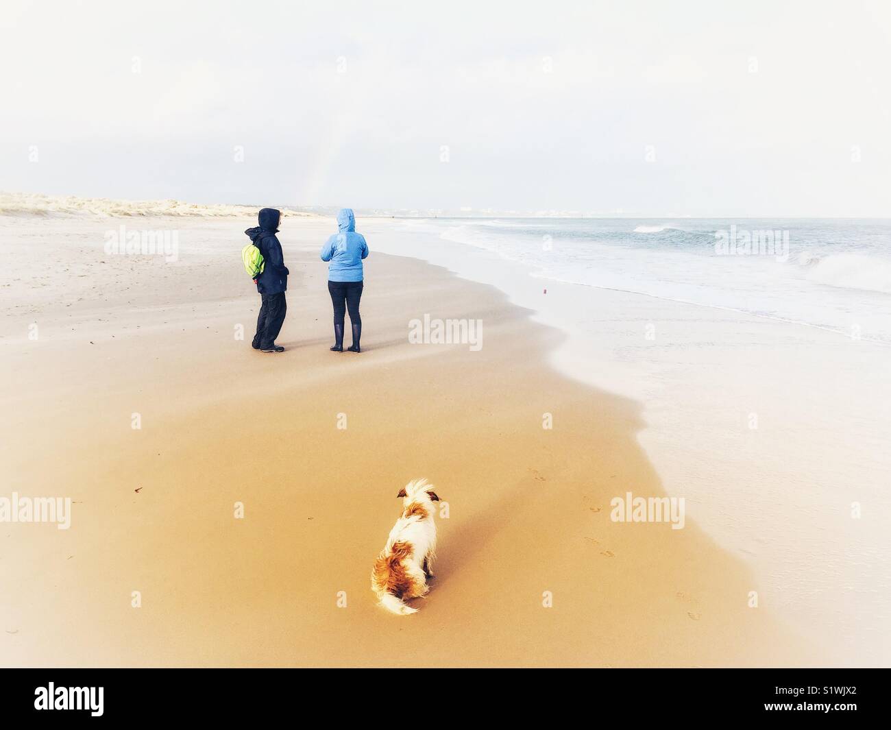 Persone e cane sulla spiaggia Foto Stock