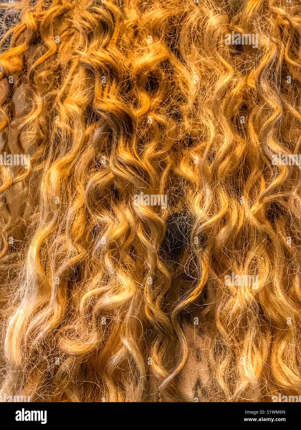 Capelli ricci Foto Stock