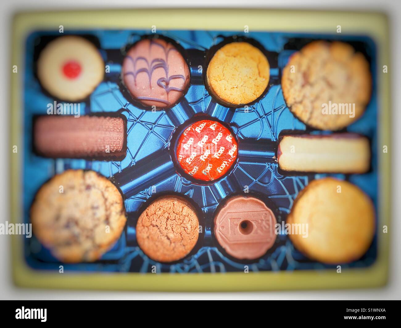 Fox biscotti - Immagine stock catturata con smartphone