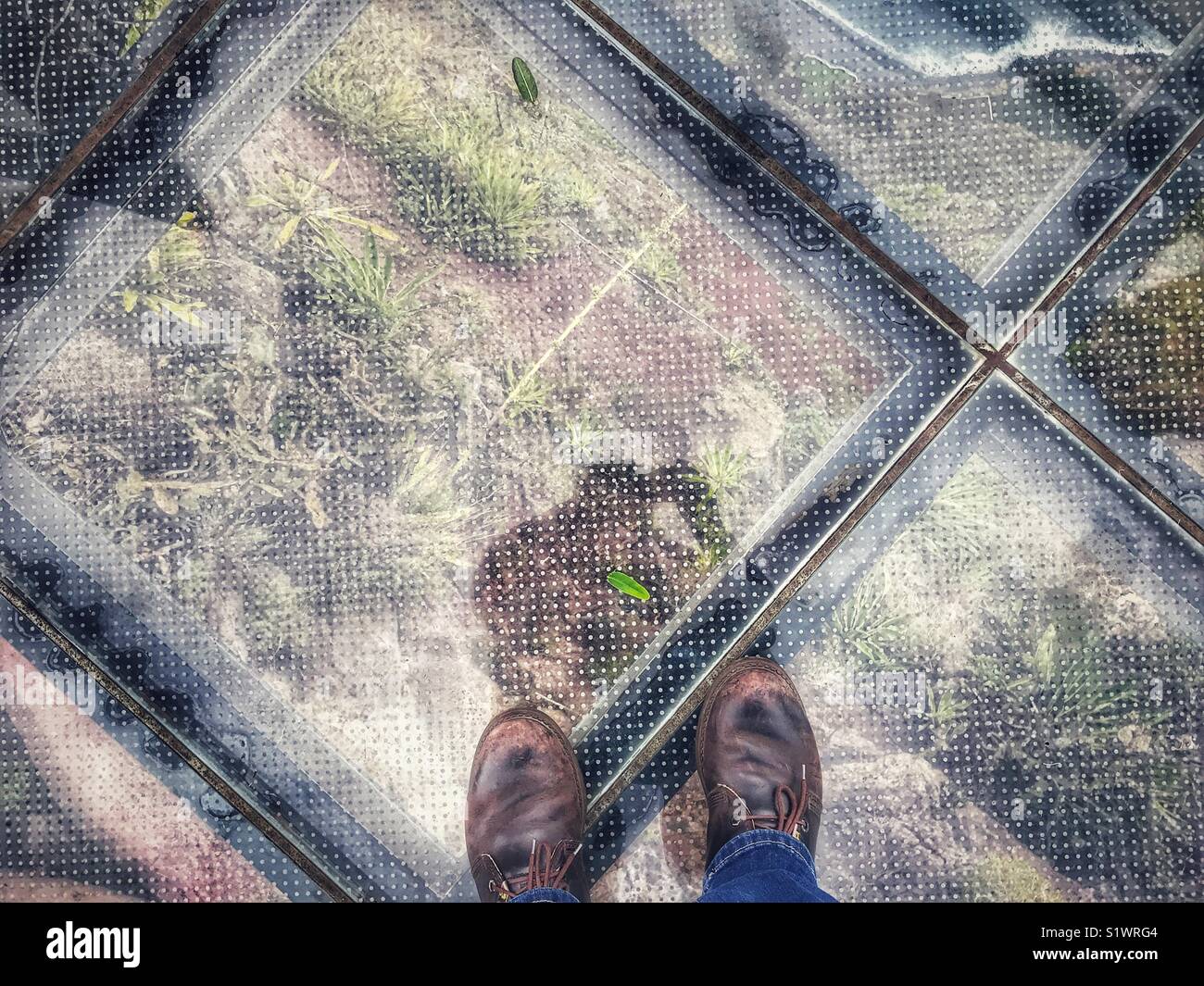 POV in piedi sul vetro skywalk piattaforma di visualizzazione, 580m sopra il mare, Miradouro do Cabo Girao, Madeira, Portogallo. Foto Stock